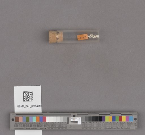 NSF ADBC EPICC TCN