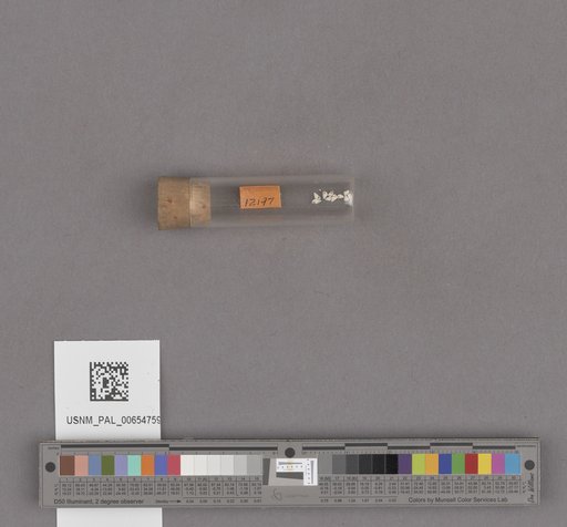 NSF ADBC EPICC TCN