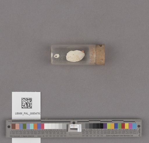 NSF ADBC EPICC TCN