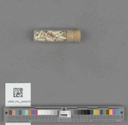 NSF ADBC EPICC TCN