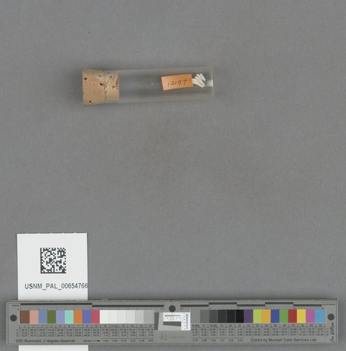 NSF ADBC EPICC TCN
