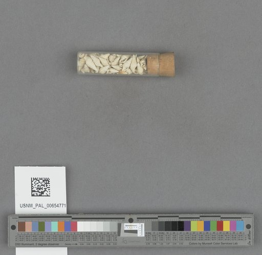 NSF ADBC EPICC TCN
