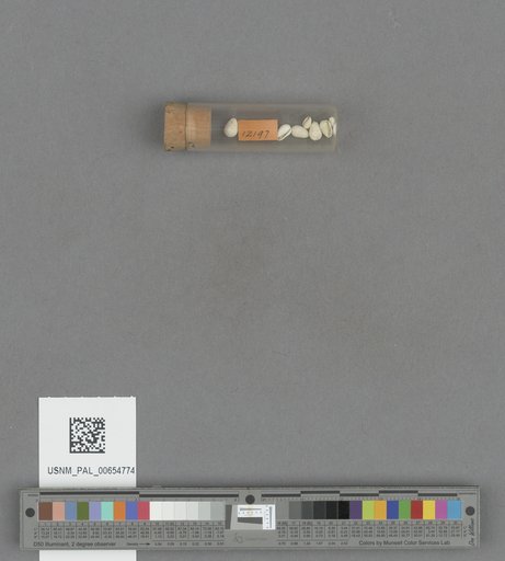 NSF ADBC EPICC TCN