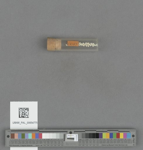 NSF ADBC EPICC TCN