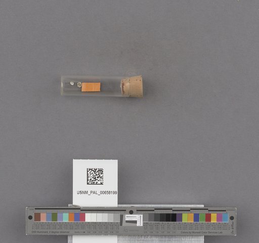 NSF ADBC EPICC TCN