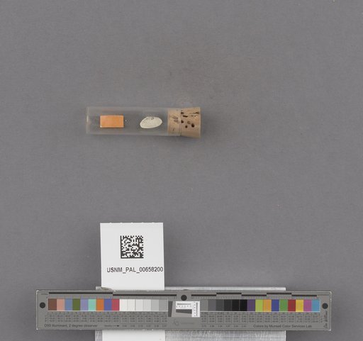 NSF ADBC EPICC TCN