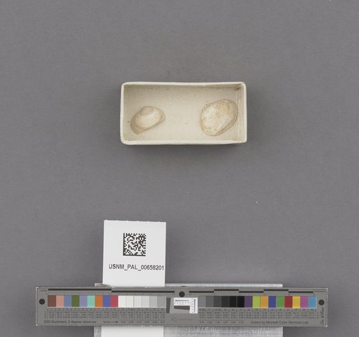 NSF ADBC EPICC TCN