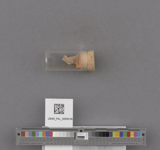 NSF ADBC EPICC TCN