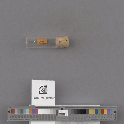 NSF ADBC EPICC TCN