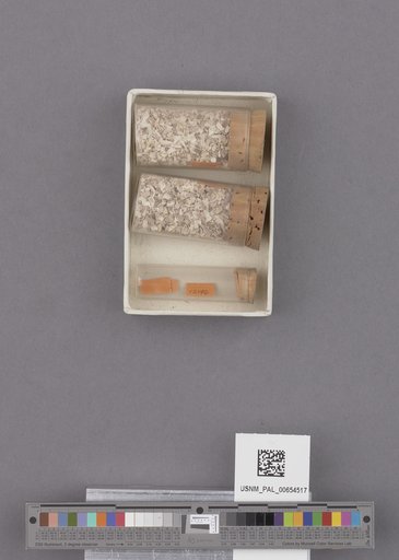 NSF ADBC EPICC TCN