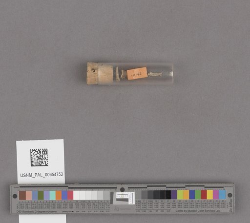 NSF ADBC EPICC TCN