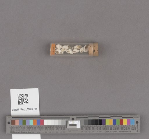 NSF ADBC EPICC TCN