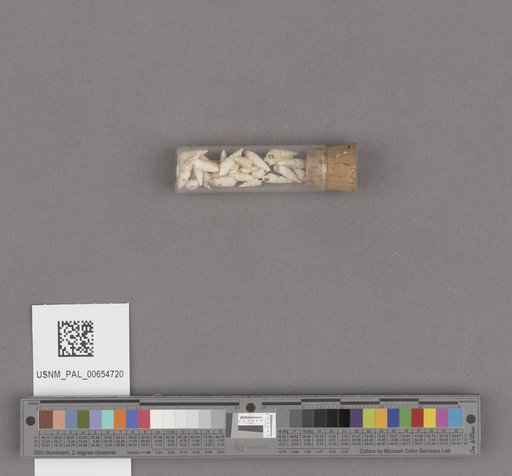 NSF ADBC EPICC TCN