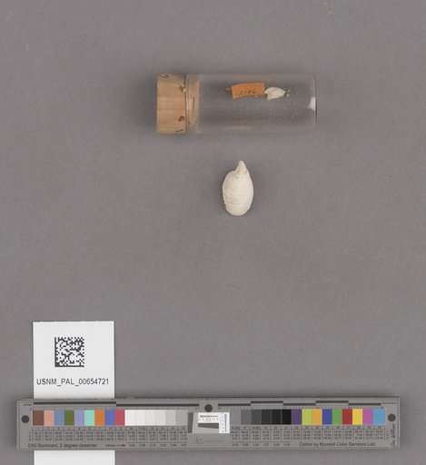 NSF ADBC EPICC TCN