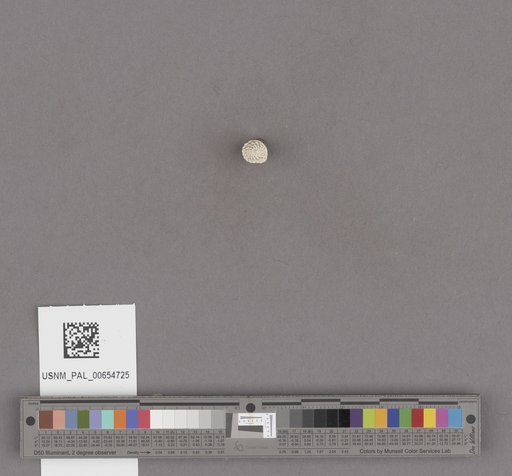 NSF ADBC EPICC TCN