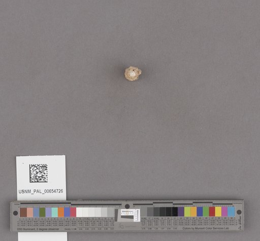 NSF ADBC EPICC TCN