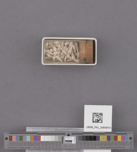 NSF ADBC EPICC TCN