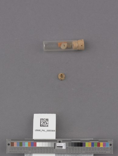 NSF ADBC EPICC TCN
