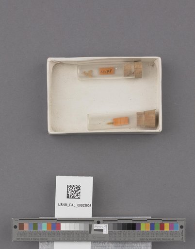 NSF ADBC EPICC TCN