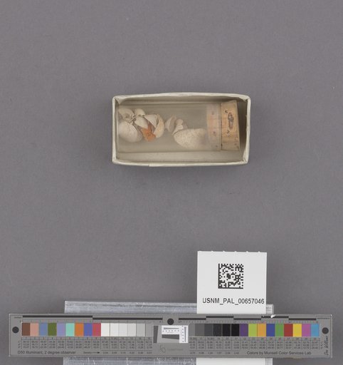 NSF ADBC EPICC TCN