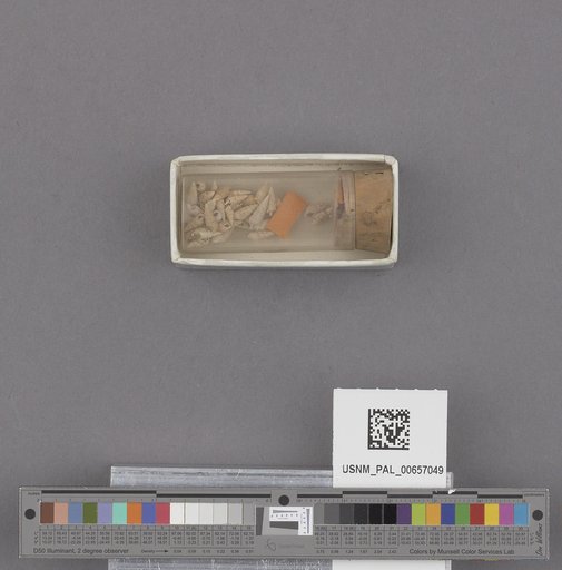 NSF ADBC EPICC TCN