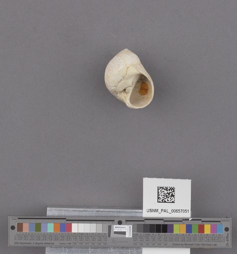 NSF ADBC EPICC TCN