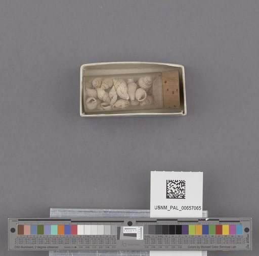 NSF ADBC EPICC TCN