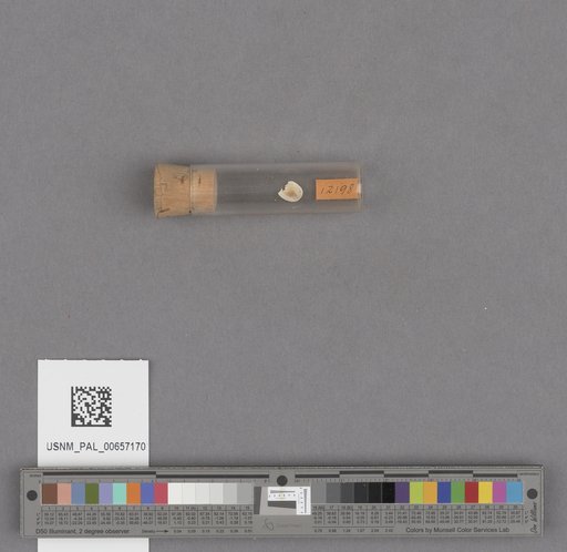 NSF ADBC EPICC TCN