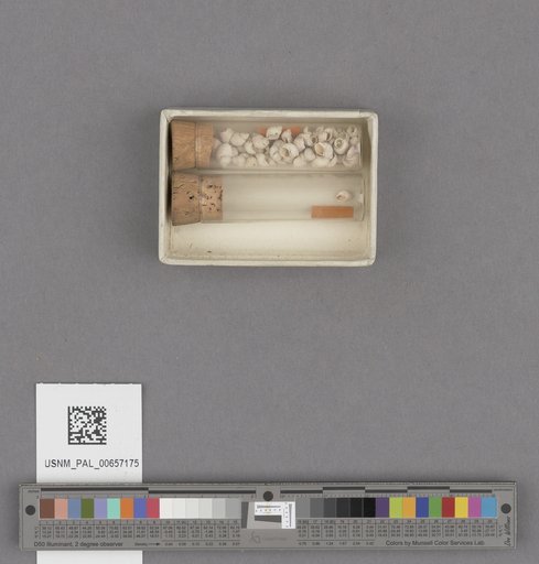 NSF ADBC EPICC TCN