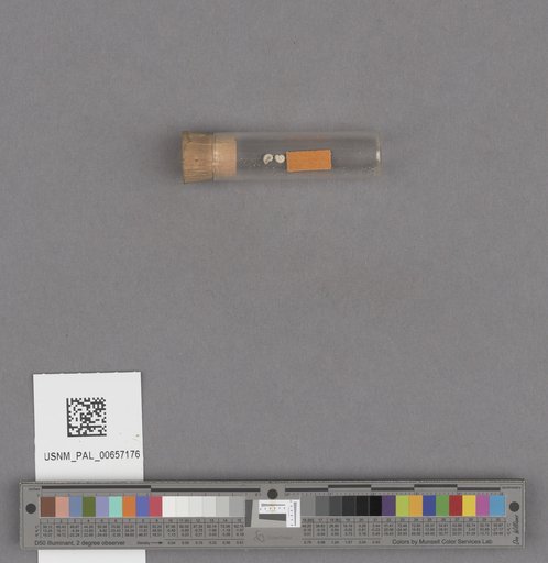 NSF ADBC EPICC TCN