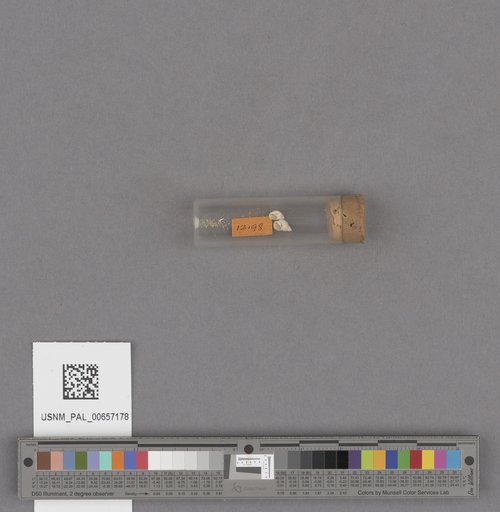NSF ADBC EPICC TCN