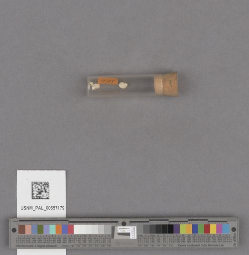 NSF ADBC EPICC TCN