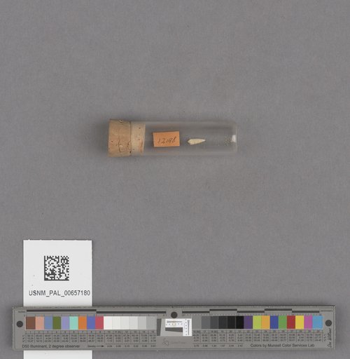 NSF ADBC EPICC TCN