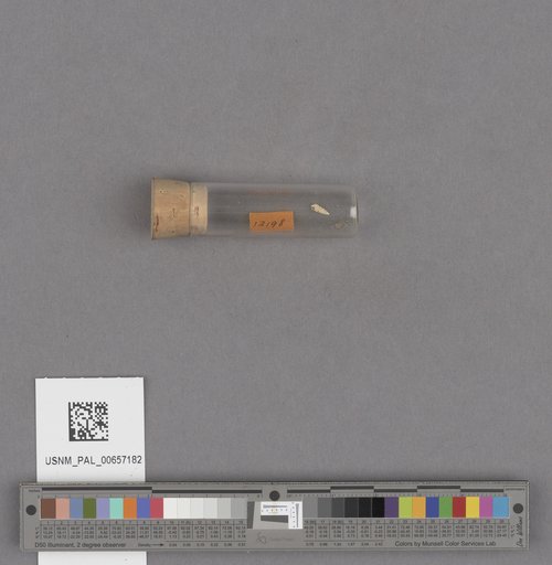 NSF ADBC EPICC TCN