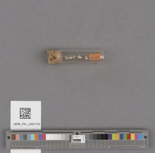 NSF ADBC EPICC TCN