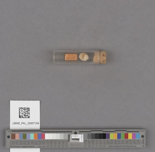 NSF ADBC EPICC TCN