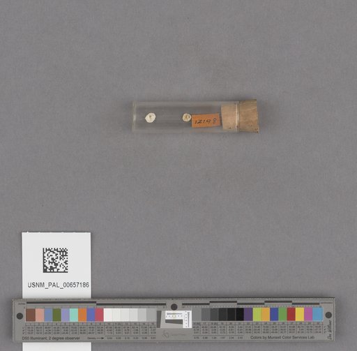 NSF ADBC EPICC TCN