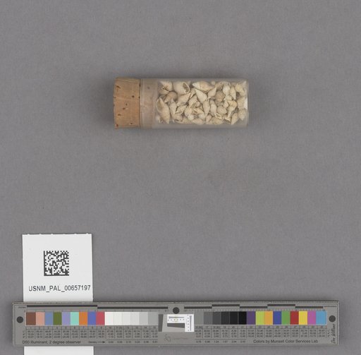 NSF ADBC EPICC TCN