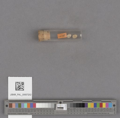 NSF ADBC EPICC TCN