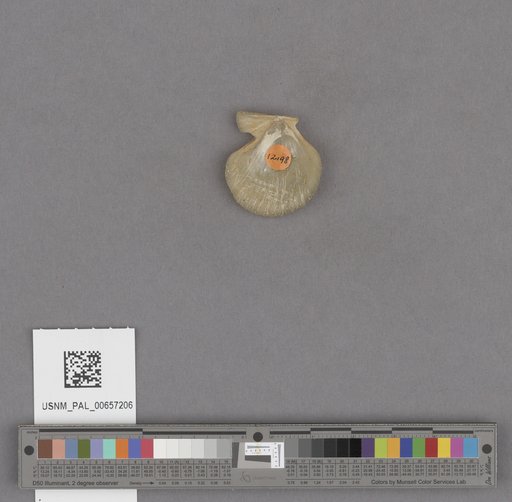 NSF ADBC EPICC TCN