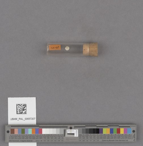 NSF ADBC EPICC TCN