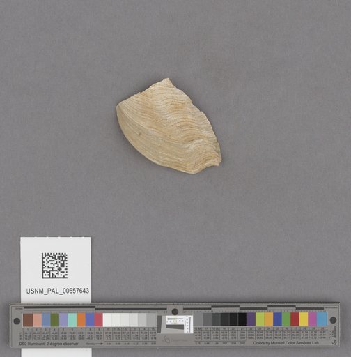 NSF ADBC EPICC TCN