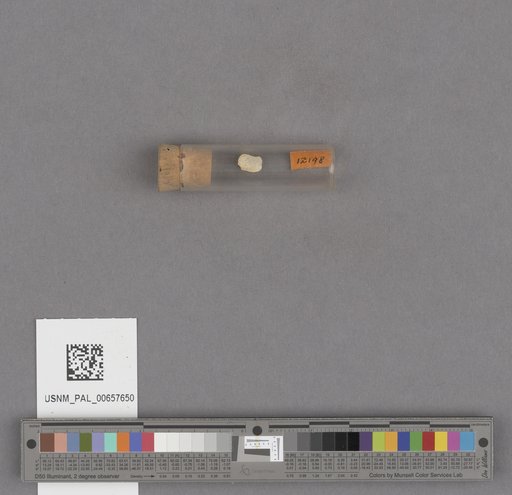 NSF ADBC EPICC TCN
