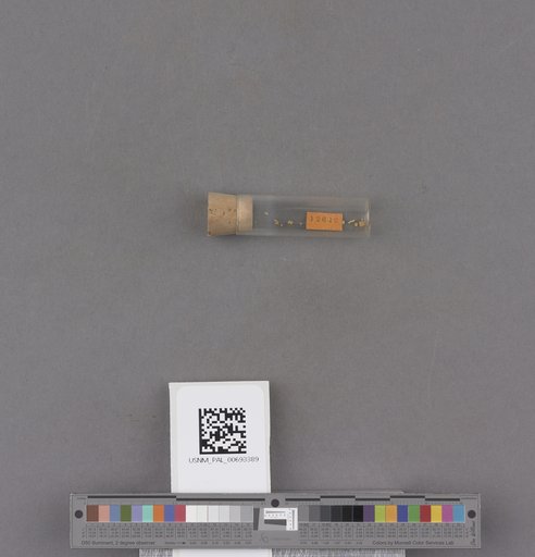 NSF ADBC EPICC TCN