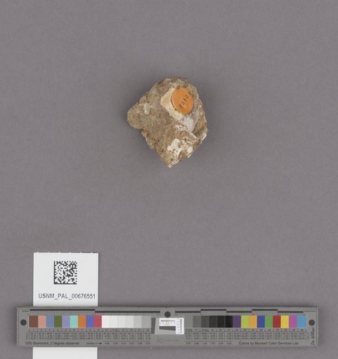 NSF ADBC EPICC TCN