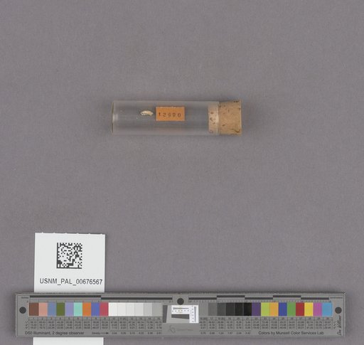 NSF ADBC EPICC TCN