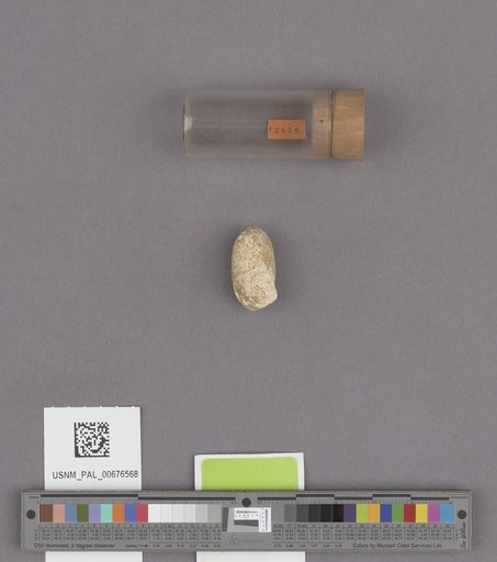 NSF ADBC EPICC TCN