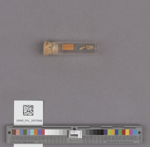 NSF ADBC EPICC TCN