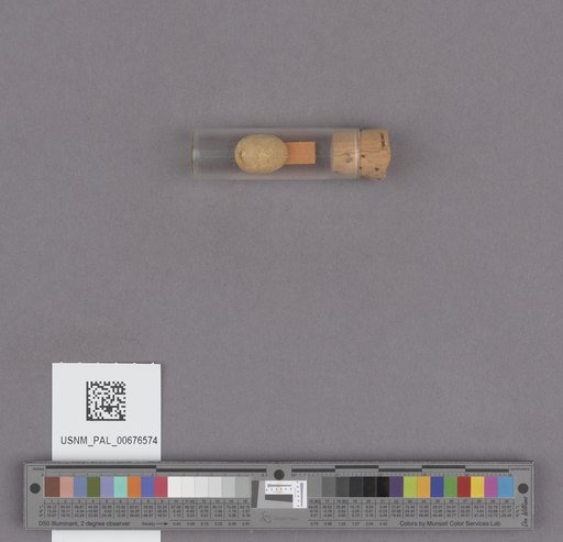 NSF ADBC EPICC TCN