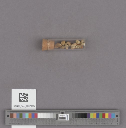 NSF ADBC EPICC TCN